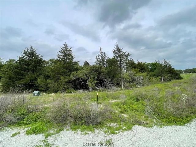 4430 Hampshire Lane, Franklin, TX 77856