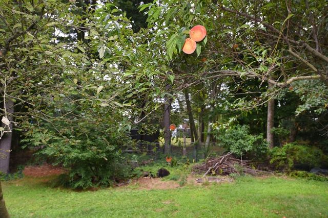 696 Summer, Rockland, MA 02370