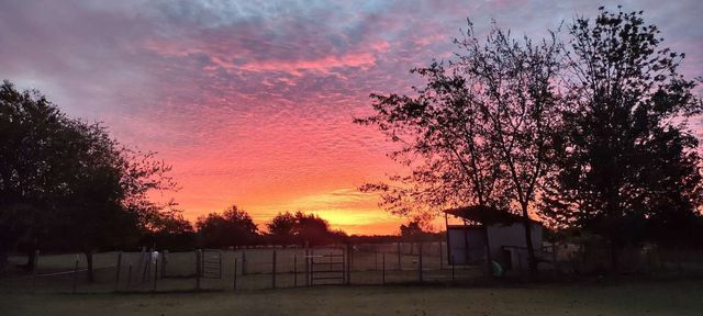 3253 County Road 2176, Greenville, TX 75402