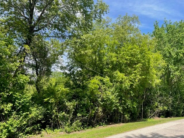 Lot 0 Pine Street S, Mchenry, IL 60051