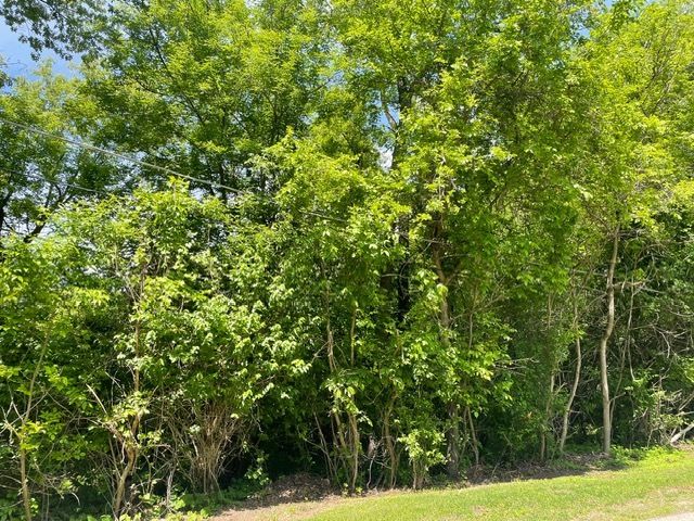 Lot 0 Pine Street S, Mchenry, IL 60051