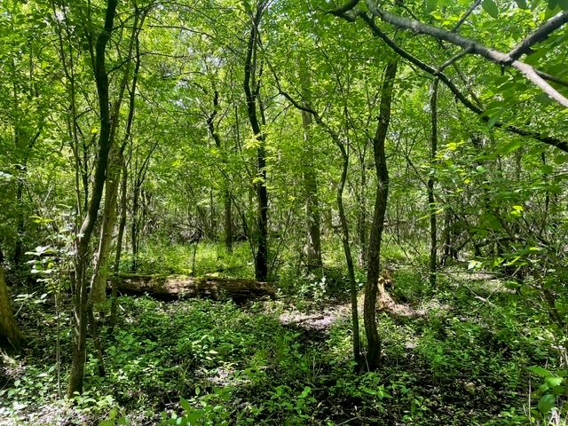 Lot 0 Pine Street S, Mchenry, IL 60051