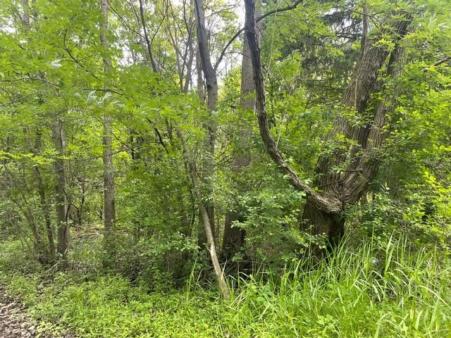 Lot 0 Pine Street S, Mchenry, IL 60051
