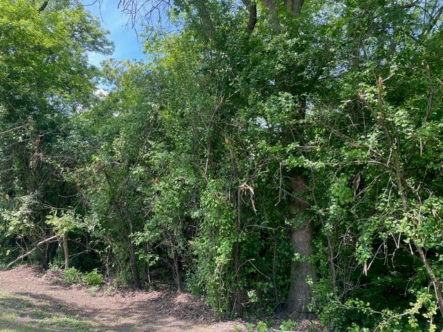 Lot 0 Pine Street S, Mchenry, IL 60051