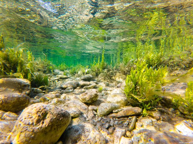 000 RM 336, Leakey, TX 78873