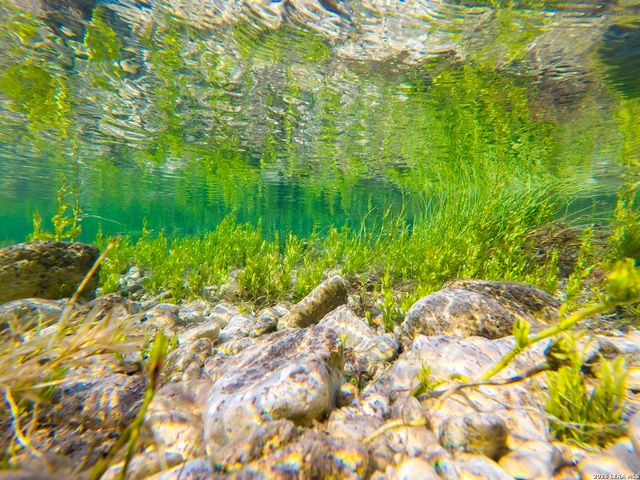 000 RM 336, Leakey, TX 78873