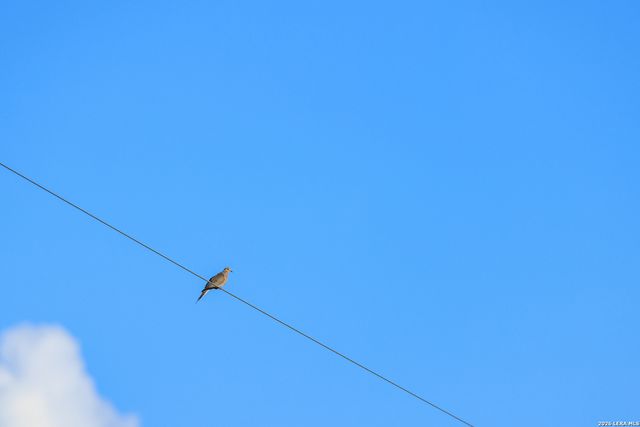 000 RM 336, Leakey, TX 78873