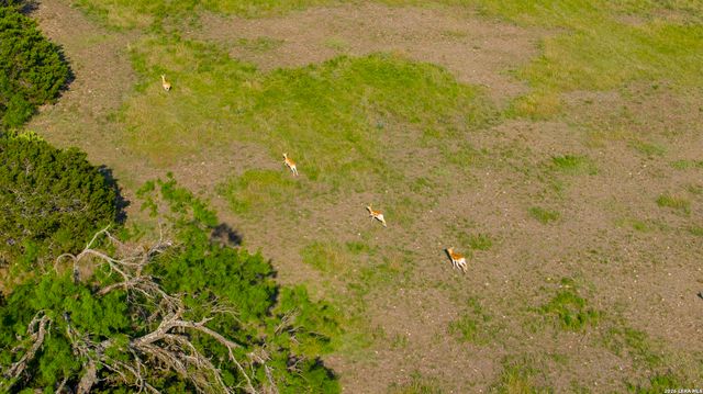 000 RM 336, Leakey, TX 78873