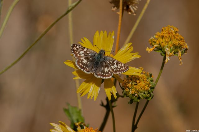 000 RM 336, Leakey, TX 78873