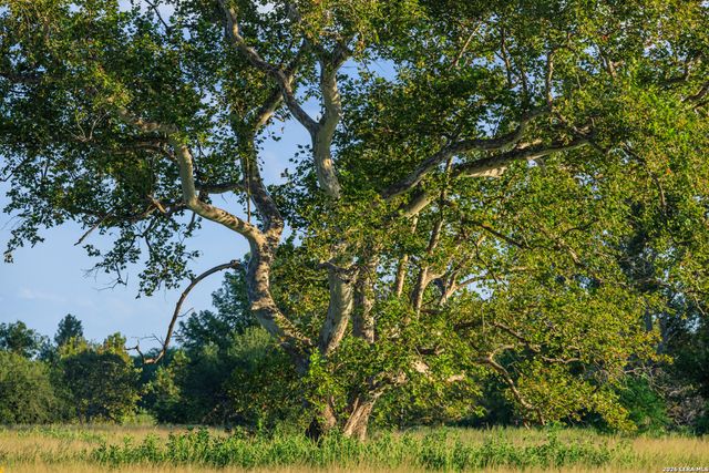 000 RM 336, Leakey, TX 78873