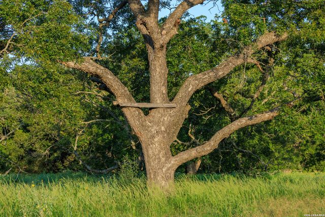 000 RM 336, Leakey, TX 78873