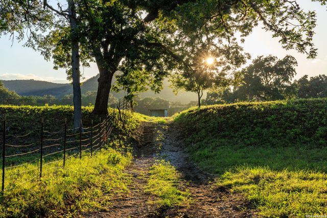 000 RM 336, Leakey, TX 78873