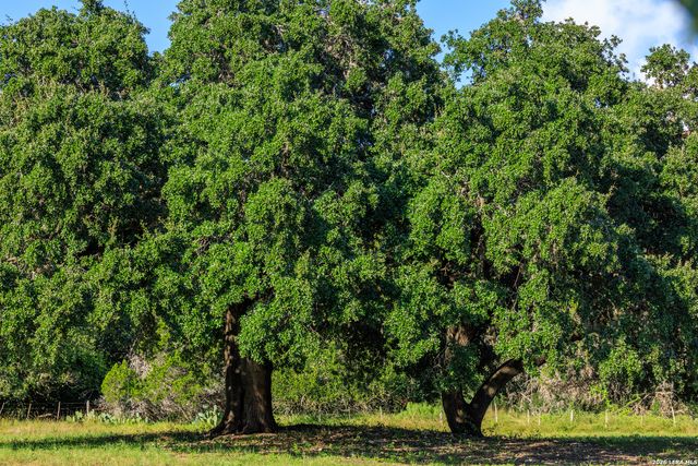 000 RM 336, Leakey, TX 78873