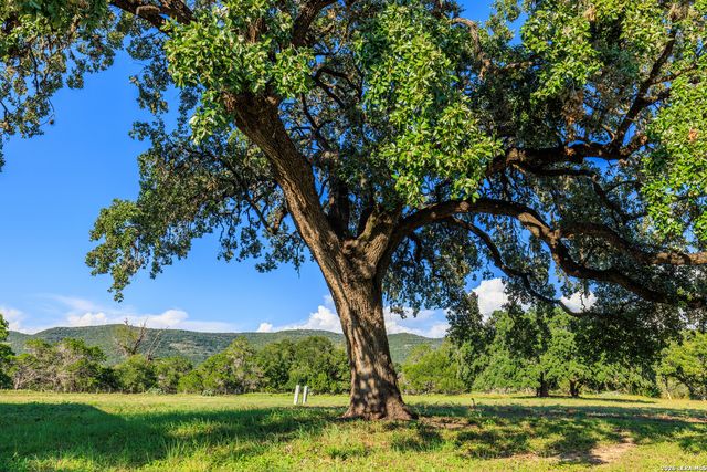 000 RM 336, Leakey, TX 78873