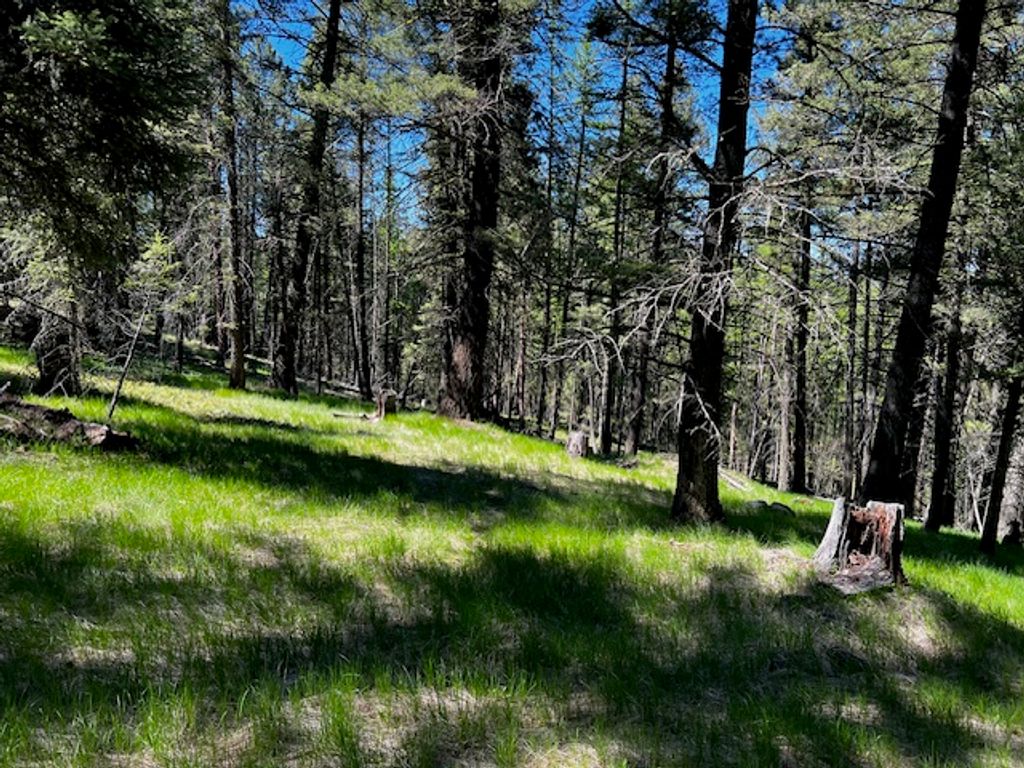 400 & 406 Orchard Ridge Road, Kalispell, MT 59901 photo 4