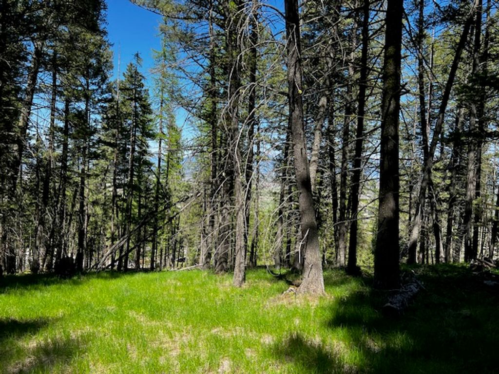 400 & 406 Orchard Ridge Road, Kalispell, MT 59901 photo 5