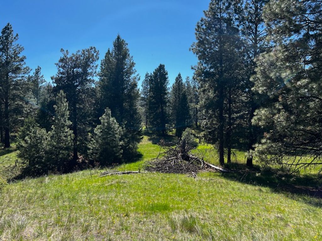 400 & 406 Orchard Ridge Road, Kalispell, MT 59901 photo 6