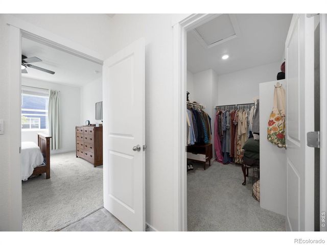 809 Elias Tarn Drive, Severance, CO 80550