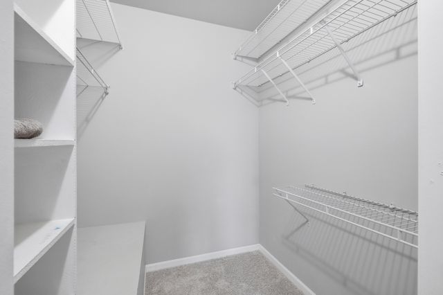 269 E Alpine Drive, Glendale Heights, IL 60139