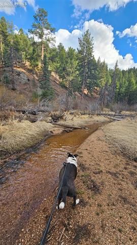 29545 Highway 67, Woodland Park, CO 80863