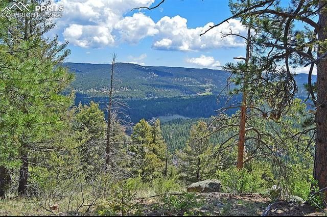 29545 Highway 67, Woodland Park, CO 80863