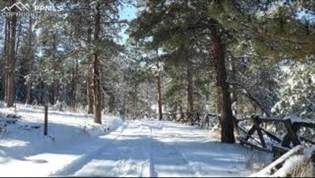29545 Highway 67, Woodland Park, CO 80863