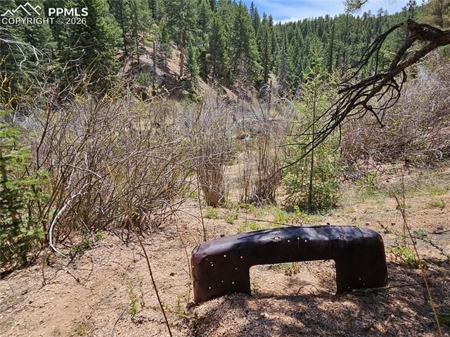 29545 Highway 67, Woodland Park, CO 80863
