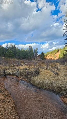 29545 Highway 67, Woodland Park, CO 80863