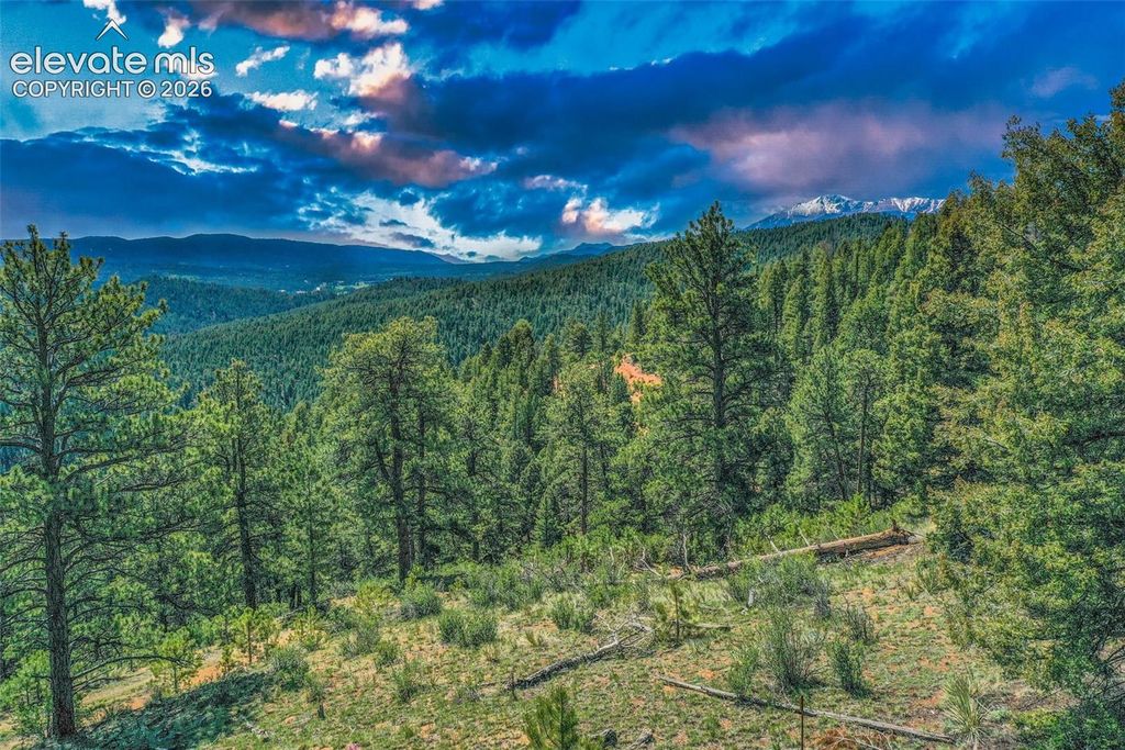 29545 Highway 67, Woodland Park, CO 80863 — photo 2