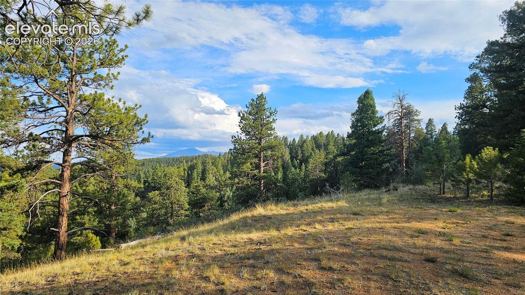 29545 Highway 67, Woodland Park, CO 80863 — photo 3