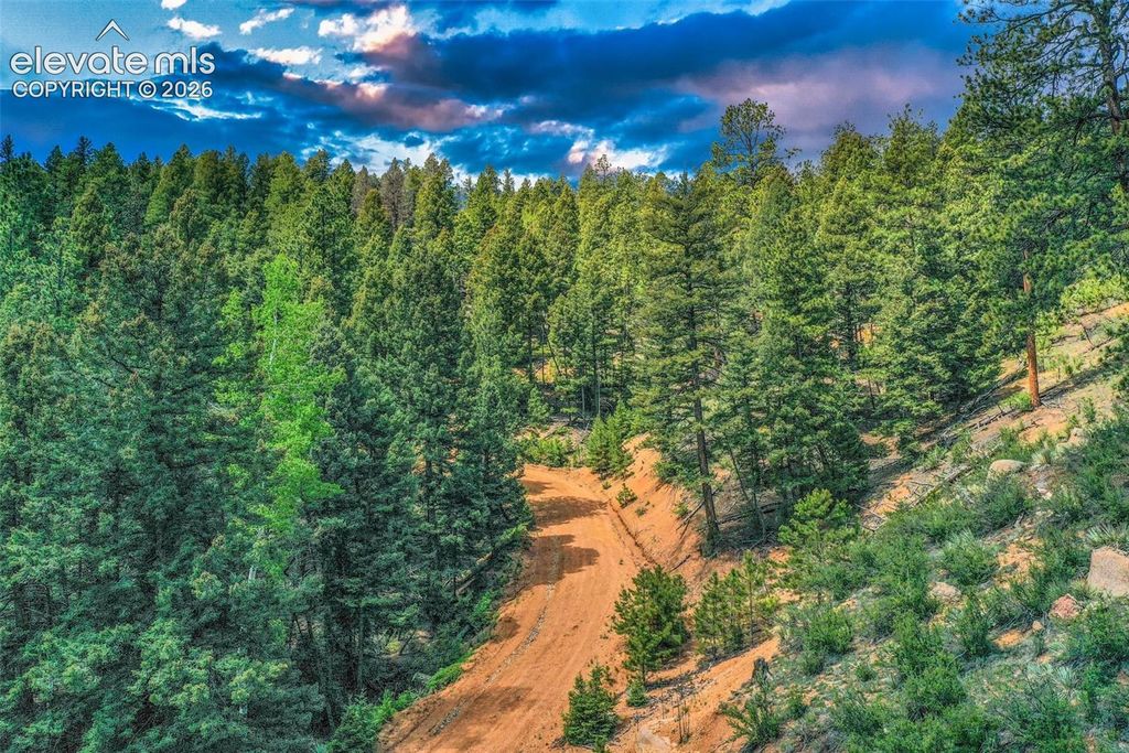 29545 Highway 67, Woodland Park, CO 80863 — photo 5