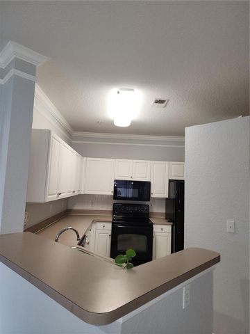 4323 BAYSIDE VILLAGE DRIVE 329, Tampa, FL 33615