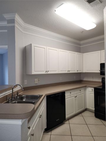 4323 BAYSIDE VILLAGE DRIVE 329, Tampa, FL 33615