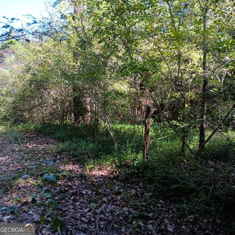 4377 Rock Mills Road, Franklin, GA 30217