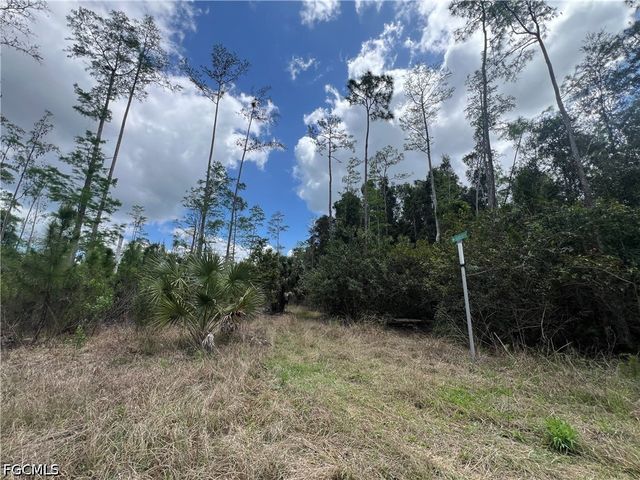 16840 Jozach DR, Naples, FL 34120