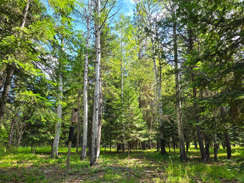 Image 55 of property listing at 22 Pinewoods Drive, Trout Creek, MT 59874