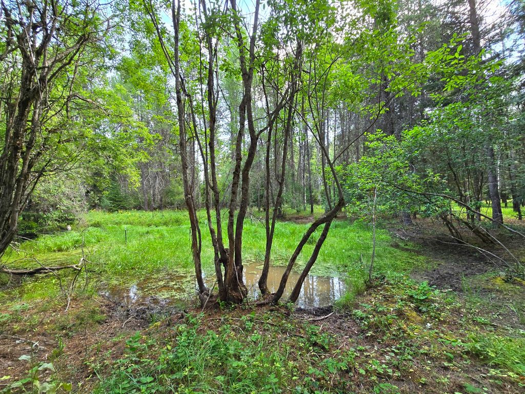 Image 56 of property listing at 22 Pinewoods Drive, Trout Creek, MT 59874