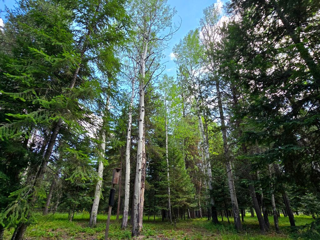 Image 57 of property listing at 22 Pinewoods Drive, Trout Creek, MT 59874