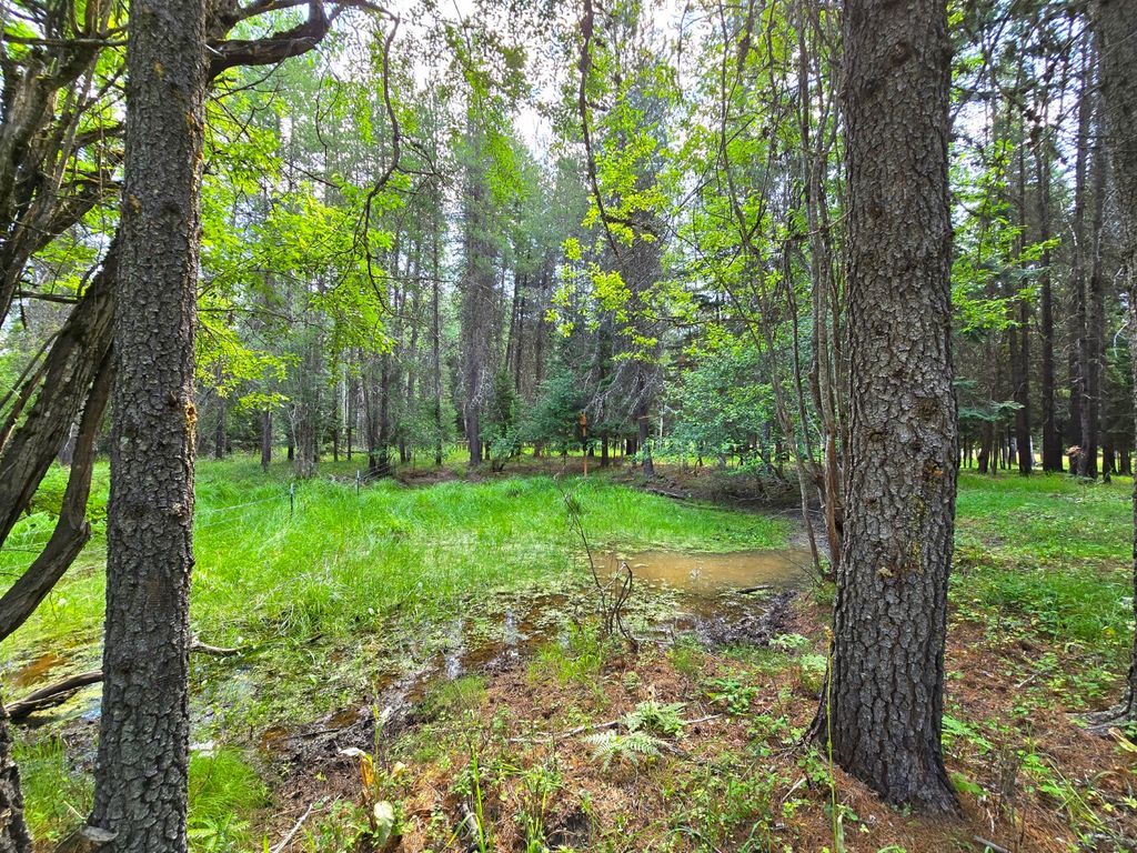 Image 58 of property listing at 22 Pinewoods Drive, Trout Creek, MT 59874
