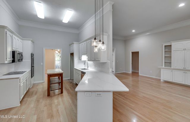 101 Honey Locust Court, Madison, MS 39110