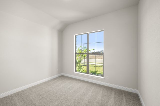 12980 Little Wolf Drive, Godley, TX 76044