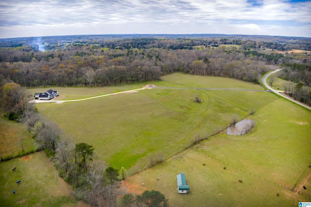 810 COUNTY ROAD 24, Alabaster, AL 35007