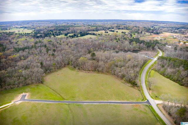 810 COUNTY ROAD 24, Alabaster, AL 35007