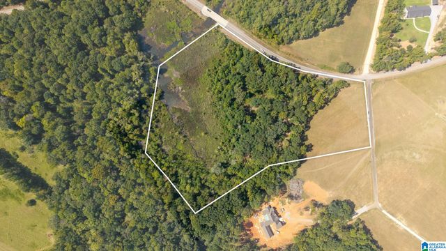 810 COUNTY ROAD 24, Alabaster, AL 35007