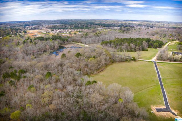 810 COUNTY ROAD 24, Alabaster, AL 35007