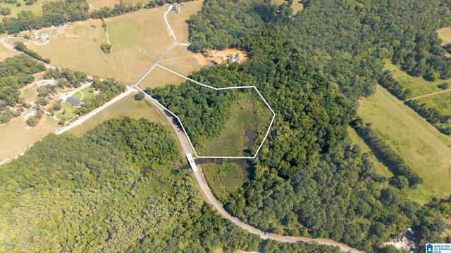 810 COUNTY ROAD 24, Alabaster, AL 35007