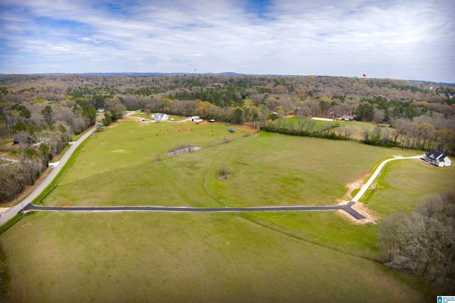 810 COUNTY ROAD 24, Alabaster, AL 35007