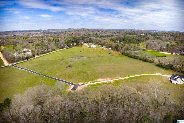 810 COUNTY ROAD 24, Alabaster, AL 35007