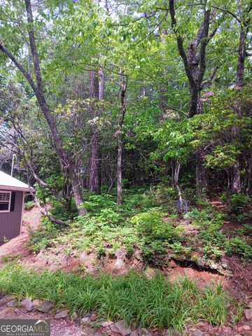 548 Confederate Drive, Clayton, GA 30525