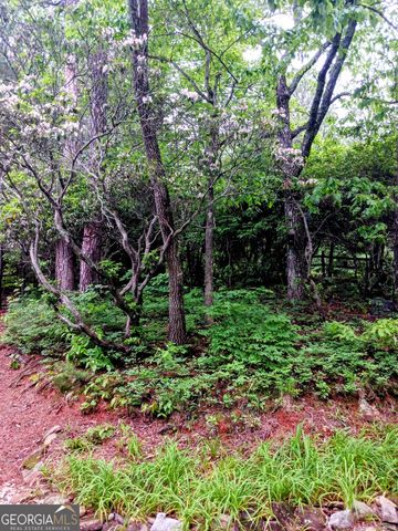 548 Confederate Drive, Clayton, GA 30525